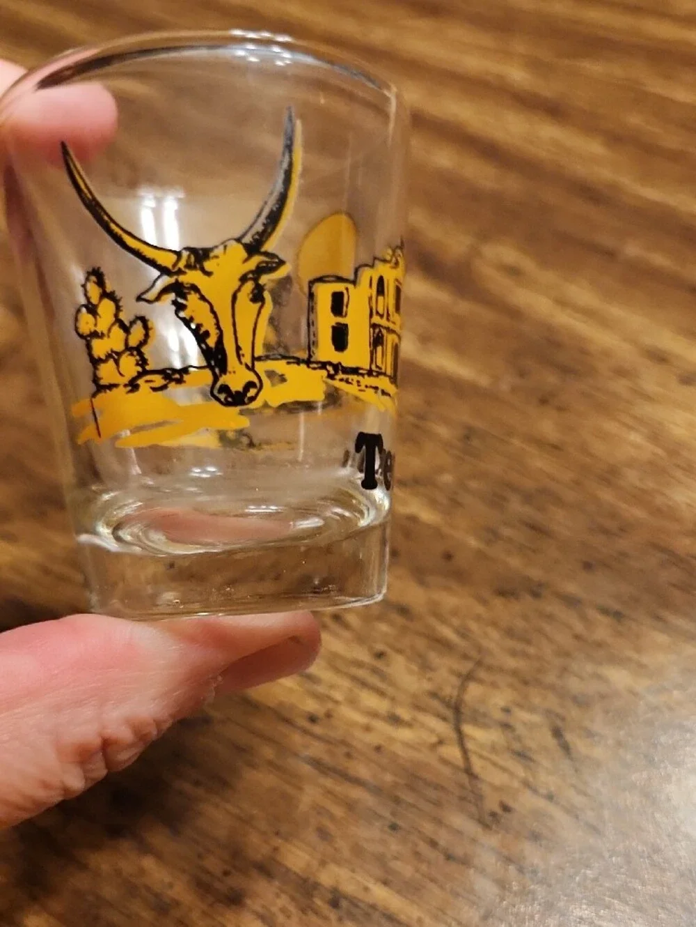 Texas Yellow & Black Souvenir Shot Glass